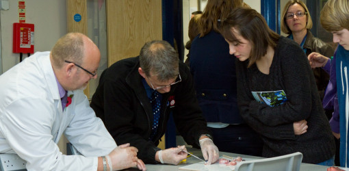 BSFOpenEvening101111 124 BSFOpenEvening101111 124