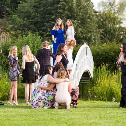 Year13Ball 030717 153 Year13Ball 030717 153