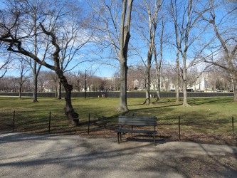 USA BSF Trip2019 103 USA BSF Trip2019 103