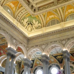 USA BSF Trip2019 238 USA BSF Trip2019 238