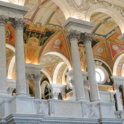 USA BSF Trip2019 240 USA BSF Trip2019 240