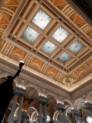 USA BSF Trip2019 242 USA BSF Trip2019 242
