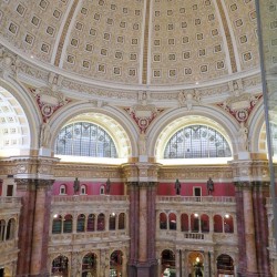 USA BSF Trip2019 249 USA BSF Trip2019 249