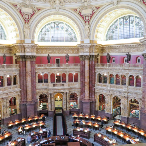 USA BSF Trip2019 250 USA BSF Trip2019 250