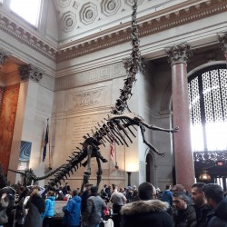 USA BSF Trip2019 347 USA BSF Trip2019 347