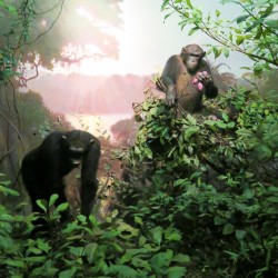USA BSF Trip2019 349 USA BSF Trip2019 349