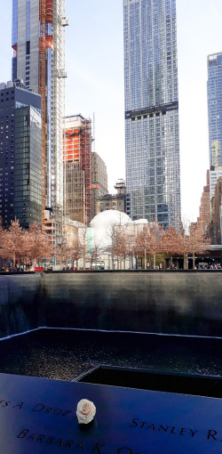 USA BSF Trip2019 458 USA BSF Trip2019 458