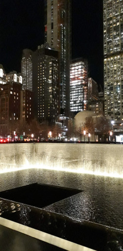 USA BSF Trip2019 465 USA BSF Trip2019 465