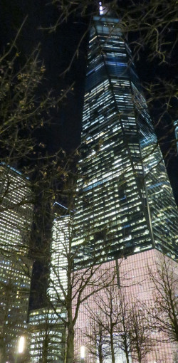 USA BSF Trip2019 466 USA BSF Trip2019 466