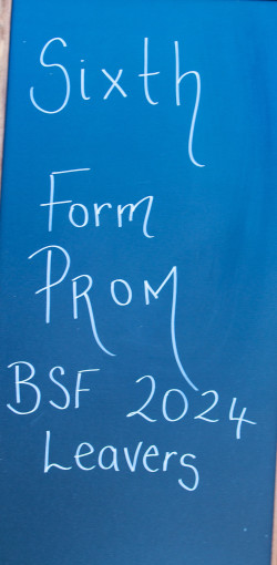 bsfleaversball270624