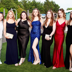 bsfleaversball270624